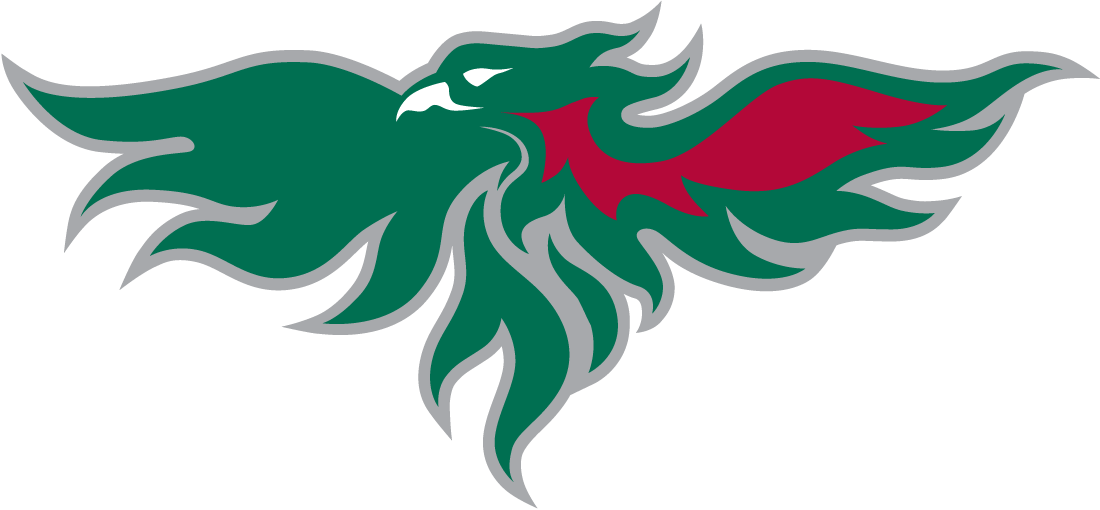 Wisconsin-Green Bay Phoenix 2007-Pres Partial Logo diy iron on heat transfer